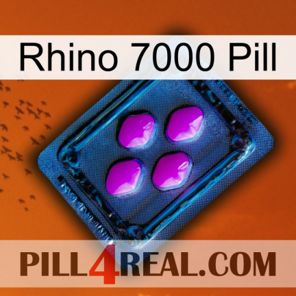 Rhino 7000 Pill 04